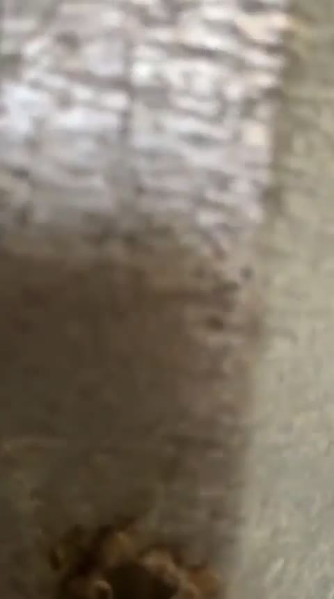 Mandi - Ngintib Ruang Bilas Kolam Renang Body Nya Mulus Banget.mp4