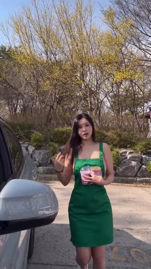 Seo Ahn Green Apron Service OnlyFans Video Leaked.mp4