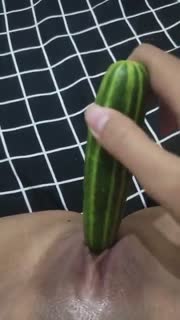 Enaknya Masukin Timun Muda ke Dalem Memek No Jembut - Join Tele @lupabelum.mp4