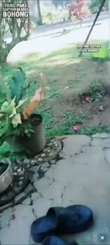 1791244091003.mp4
