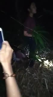 1_5118762476007063784.mp4