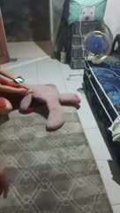 Pijat bapak baju cream full telegram@pijatstw11 PART1.mp4