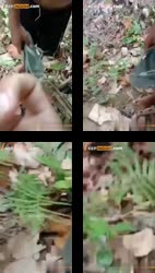 Ngintip Guru TK Lg Ngewe Di Kelas.mp4