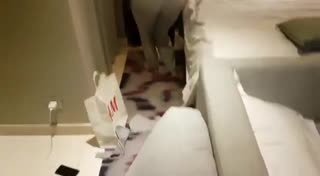 Drama Kakak Adik FULL Percakapan.mp4