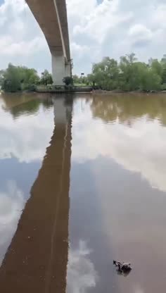 berkedok mancing di kolam.mp4