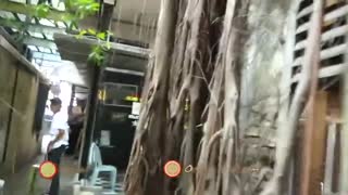 5_6210473055899097592.mp4