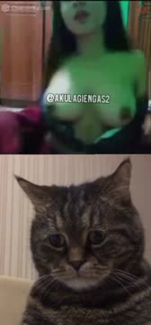 OME TV tobrut