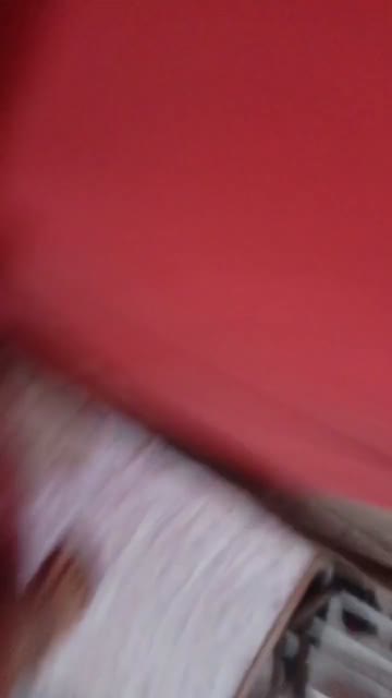intip binor3.mp4