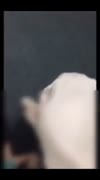 Ukhty Sama Rekan Kerja di Kantor - DoodStream.mp4