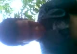 SMP diewe di hutan
