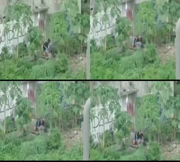 Ngintip Jilbab Lagi Ngewe Di Belakang Sekolah Ketahuan - Kingbokep.mp4