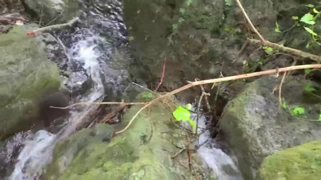 Ceritanya Lagi Berkemah Tapi Malah Kebawa Nafsu