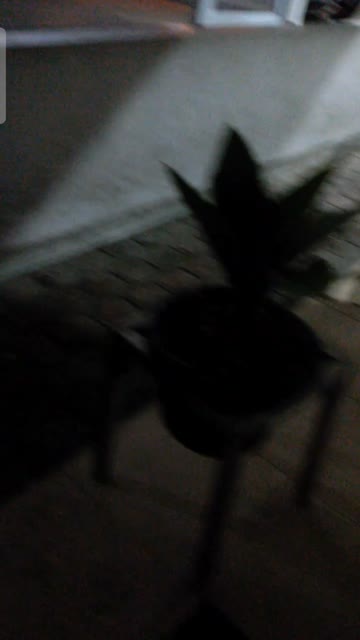 Ngintip toilet spbu 04