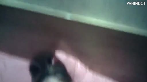 Bokep SMP Bocil viral rela dipake om demi iphone.mp4