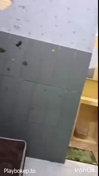 Open BO Michat di Kostan - Follow Telegram https://t.me/adayangbarunihxxx