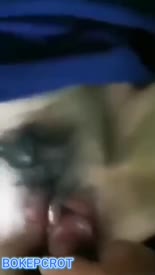 Bokep Indo Abg Kos Batal Pulang Kampung - Bokep Indo.mp4