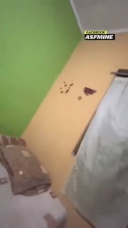 Nego P$K STW Daster Ungu di Lokalisasi Full Percakapan - Join Tele @lupabelum.mp4