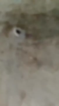 Ngintip mandi di kolam renang
