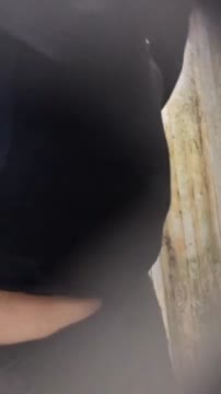 5_6098394604409722070.mp4