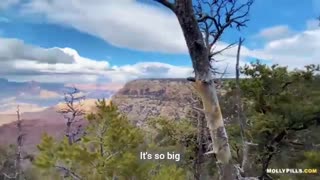 Beauty of Green canyon