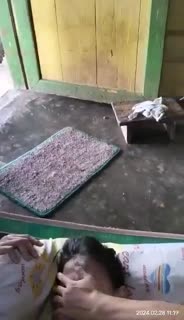 5_6070958340437973680.mp4