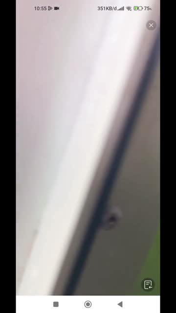 ssstwitter.com_1791066802634.mp4