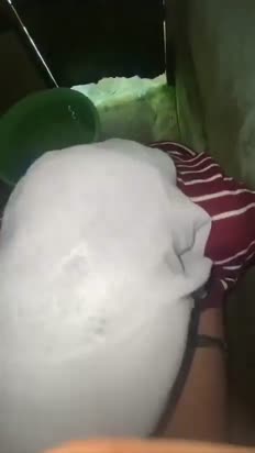 di wese sk0lh.mp4
