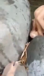 Bokep Indo Real ABG Kena Rudapaksa Di Sungai  - BOKEPTOKET.COM