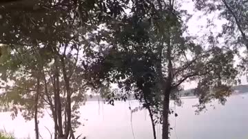Prank Ojol Terniat Sampe Nyewa Vila - Kingbokep.mp4