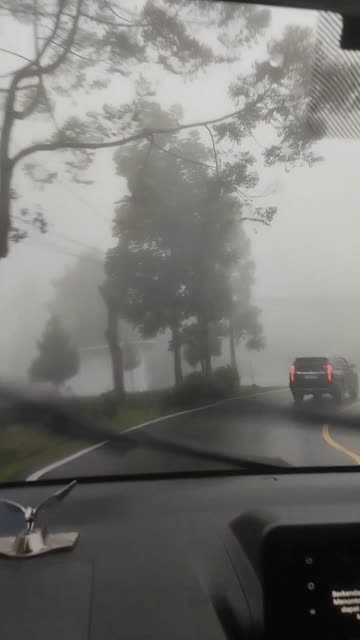 lv_0_20251229214421.mp4
