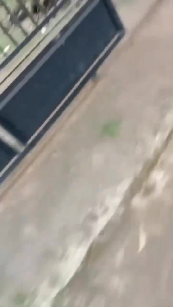 Ampun pakde yang lagi viral - vidxlr.top