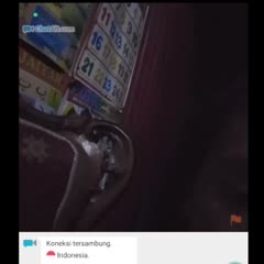 VID_20261010_161617.mp4