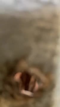Intip cewek mandi rambut pirang - ThisVid.com.mp4