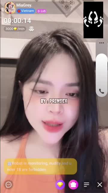 Vcs Mia Grey apk Chamet