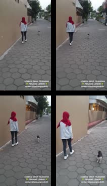 public agent versi indo.mp4