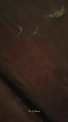 ustzh muda baru siap mandi.mp4
