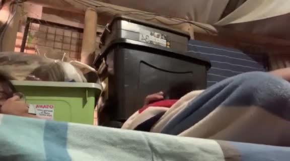 Kakak Adek Ngewe Sembunyi² Takut Ketauan.mp4