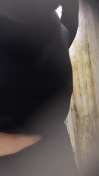 Kolam Renang 45.mp4