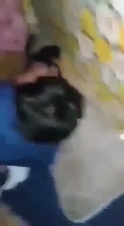 Bokep bocil smp seragam olahraga di ajak ngentot.mp4