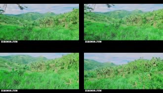 Enaknya Ngewew di Hutan Gak Ketahuan Warga.mp4
