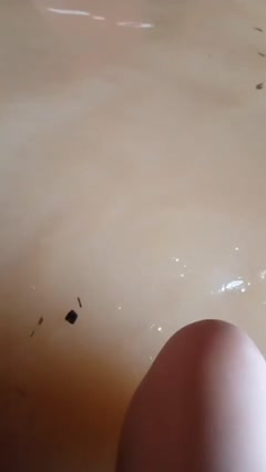 Tante Berani Eksib Padahal Rumahnya Kebanjiran.mp4