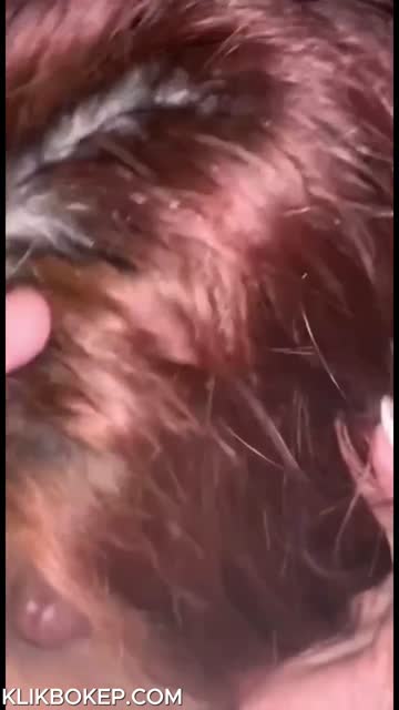 Bokep Indo Skandal Tisna TikToker Hijabers Binal Ngewe Gelap Gelapan - Ked.mp4