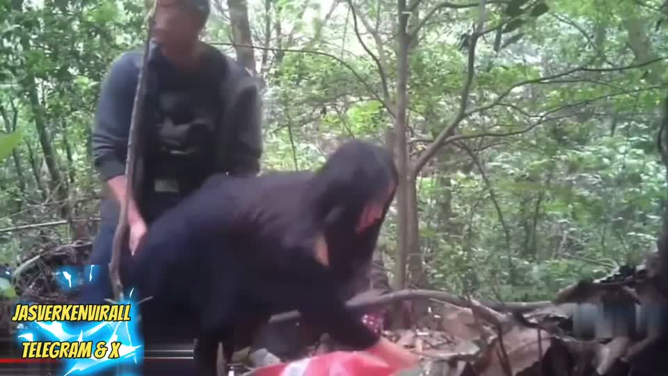 Telegram @jasverkenvirall - Ngewe di gunung sama kakek - Bokep Indo Viral.mp4