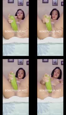 Bokep Indo Colmek Pake Terong Besar - BOKEPINAJA.mp4