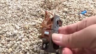 13_minicars_&_blue_convoy!_Pla_360p_1755093975258.mp4