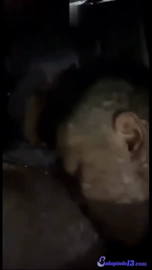 Kompilasi peliharaan budak seks Hijab Navy Yang Lagi Viral Dan Heboh.mp4
