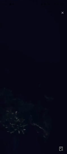 Lisa Prank Ojol_20251217 - vidxlr.top